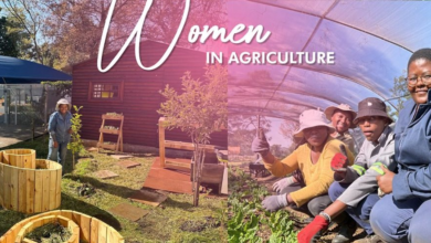 Women in agriculture: Empowering South Africa’s unsung SHEroes