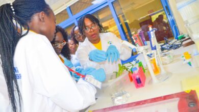 Celebrating agricultural innovation in Africa