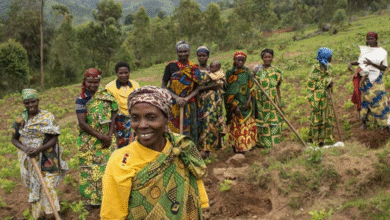 Women’s land rights: How an NGO is breaking barriers in Benin