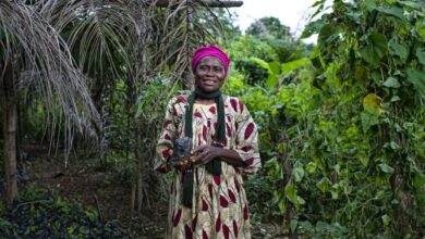 In Cameroon, breaking barriers for women in restoration
