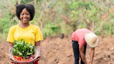 Women agripreneurs take the stage at Brics+ agriculture summit