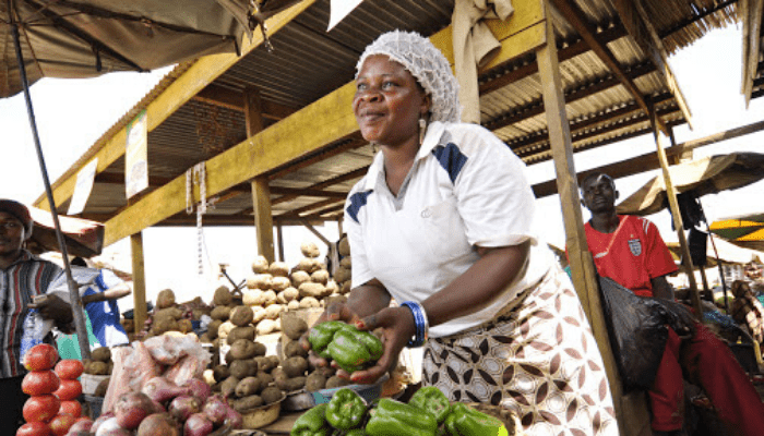 Startups Africa primed to empower, expose over 2000 female entrepreneurs in Africa