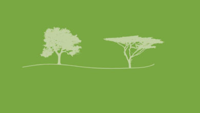 Africa-EU Green Talks – Women’s Leadership for Climate Action: Unlocking the Power of Cross-Continental Collaboration
