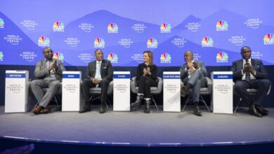 Davos 2025: Here’s what was top of the agenda for leaders from Africa