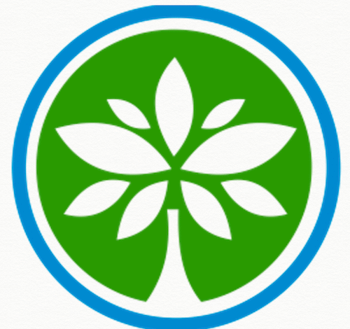 African Women’s Development Fund’s Topics of Impact: From Reproductive Health to Advocacy