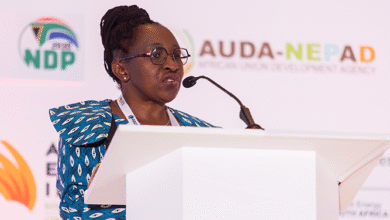 The role for women in the African energy sector